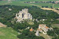 Photos de Arles (Abbaye de St Pierre de Montmajour)