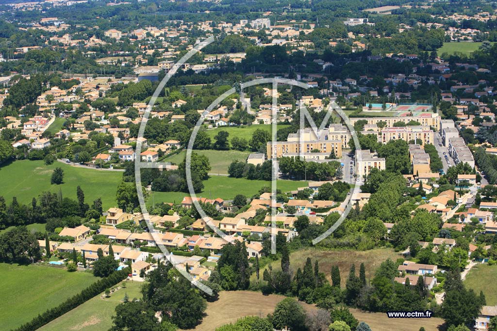 Photo arienne de Montfavet - la fort