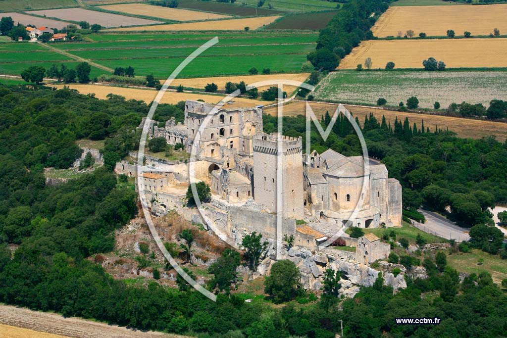 Photo arienne de Arles (Abbaye de St Pierre de Montmajour)