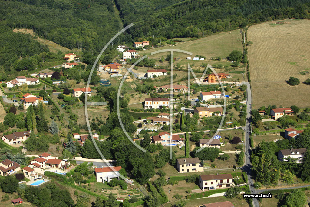 Photo arienne de Saint-Pierre-la-Palud (Le Moullin)