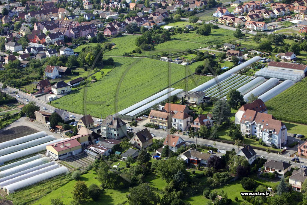 Photo arienne de Colmar (Quartier des Marachers)