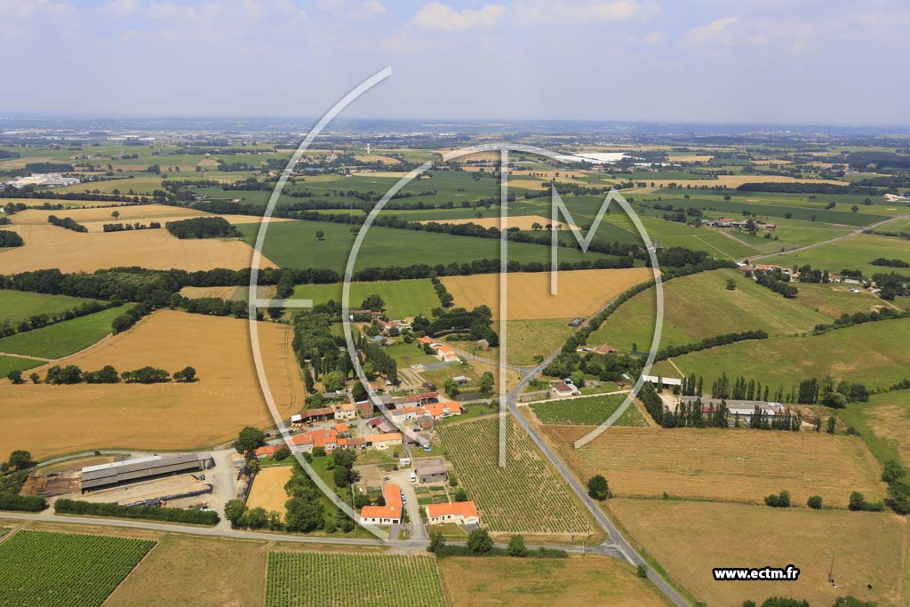 Photo arienne de Le Loroux-Bottereau (La Carrire)