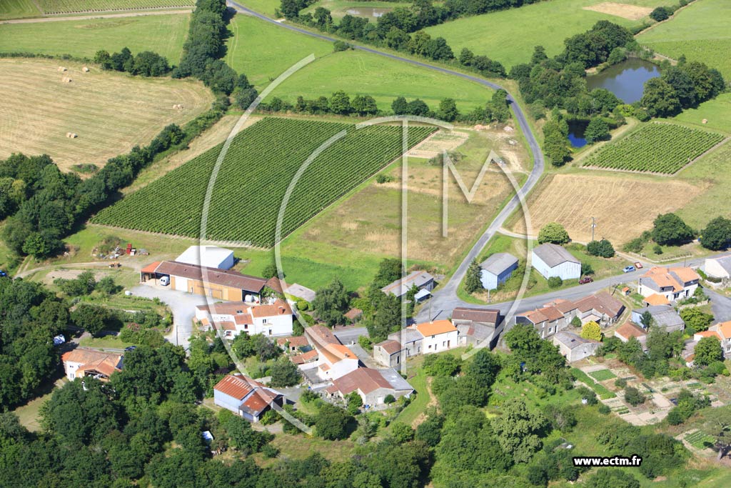 Photo arienne de Saint-Lumine-de-Clisson (La Chambaudire)