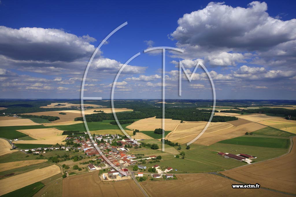 Photo arienne de Troisfontaines-la-Ville (Avrainville)