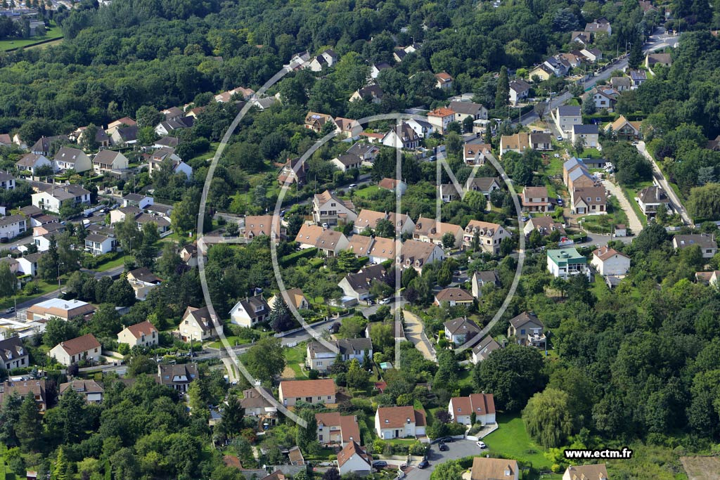 Photo arienne de Boussy-Saint-Antoine (les Jardins)