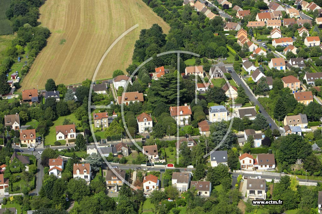 Photo arienne de Mandres-les-Roses (Croix Verte)