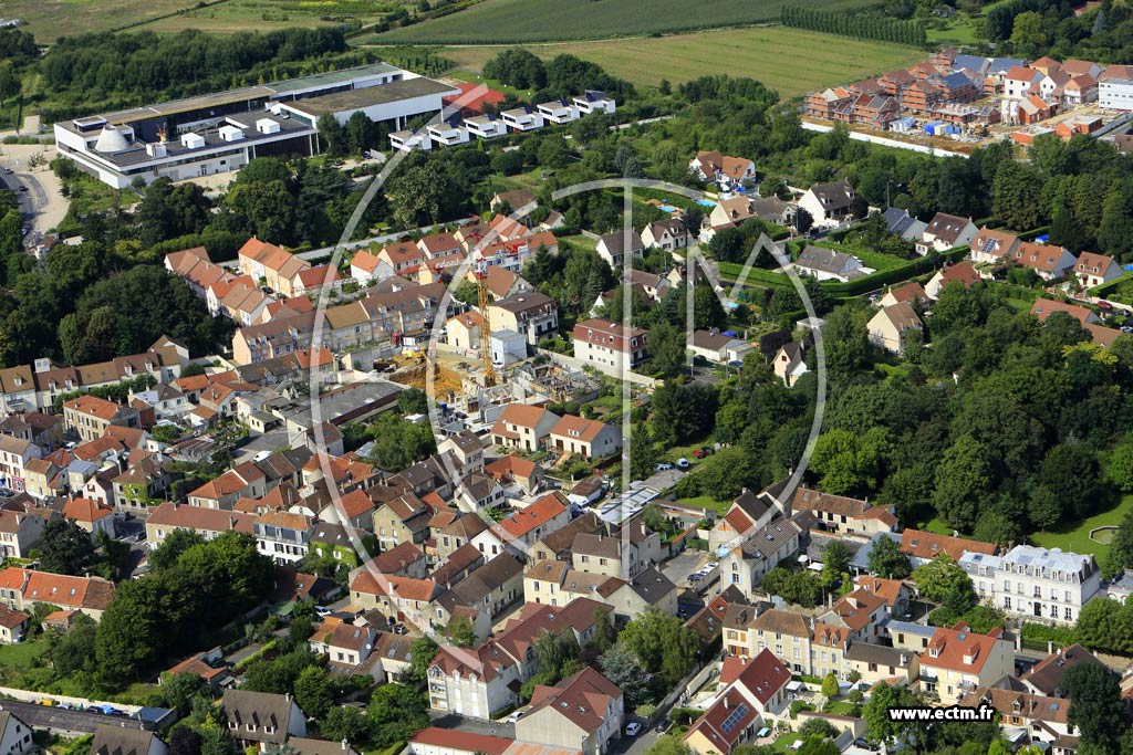 Photo arienne de Mandres-les-Roses (la Fraizire)