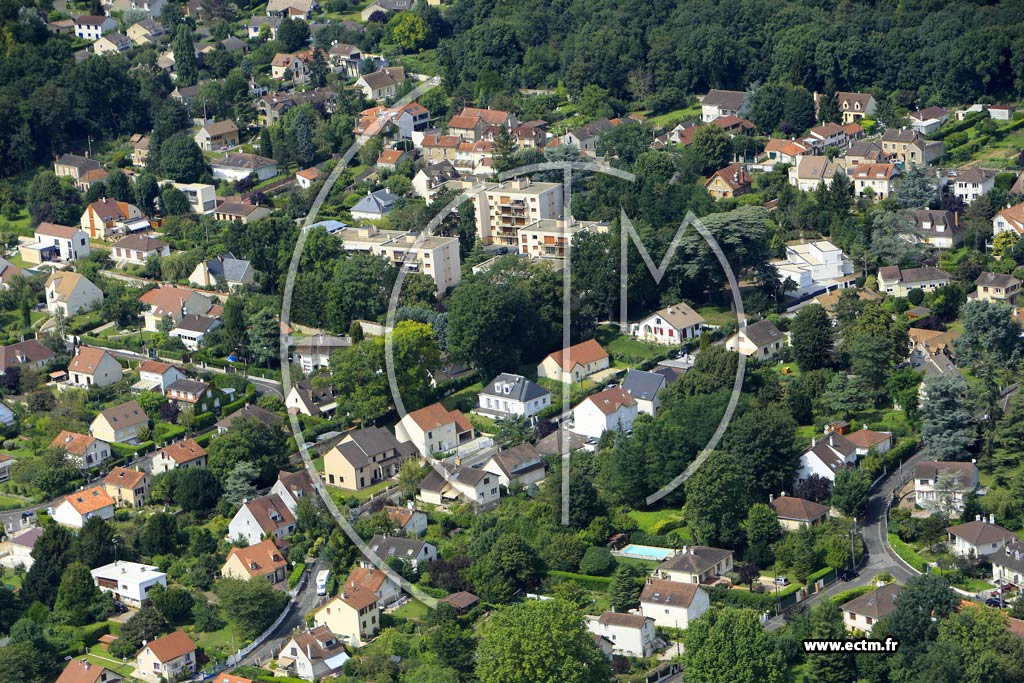 Photo arienne de Soisy-sur-Seine (les Donjons)