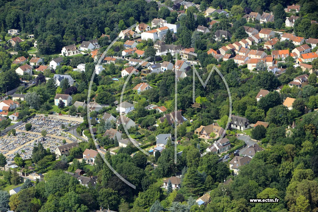 Photo arienne de Soisy-sur-Seine (les Donjons)