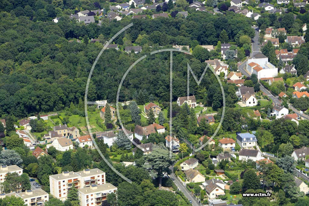 Photo arienne de Soisy-sur-Seine (les Donjons)