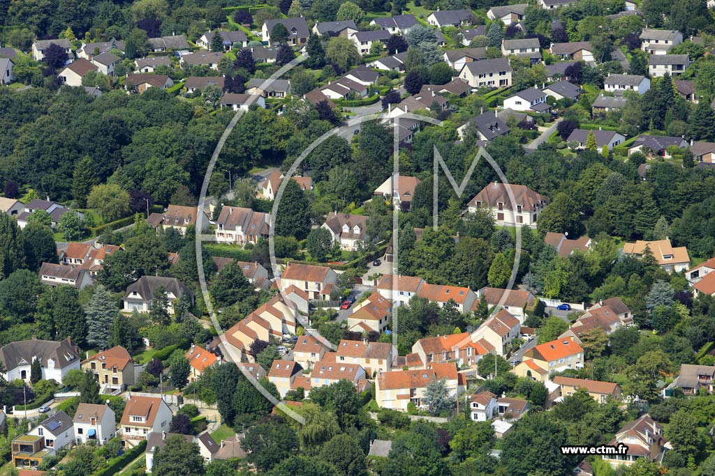 Photo arienne de Soisy-sur-Seine (les Donjons)