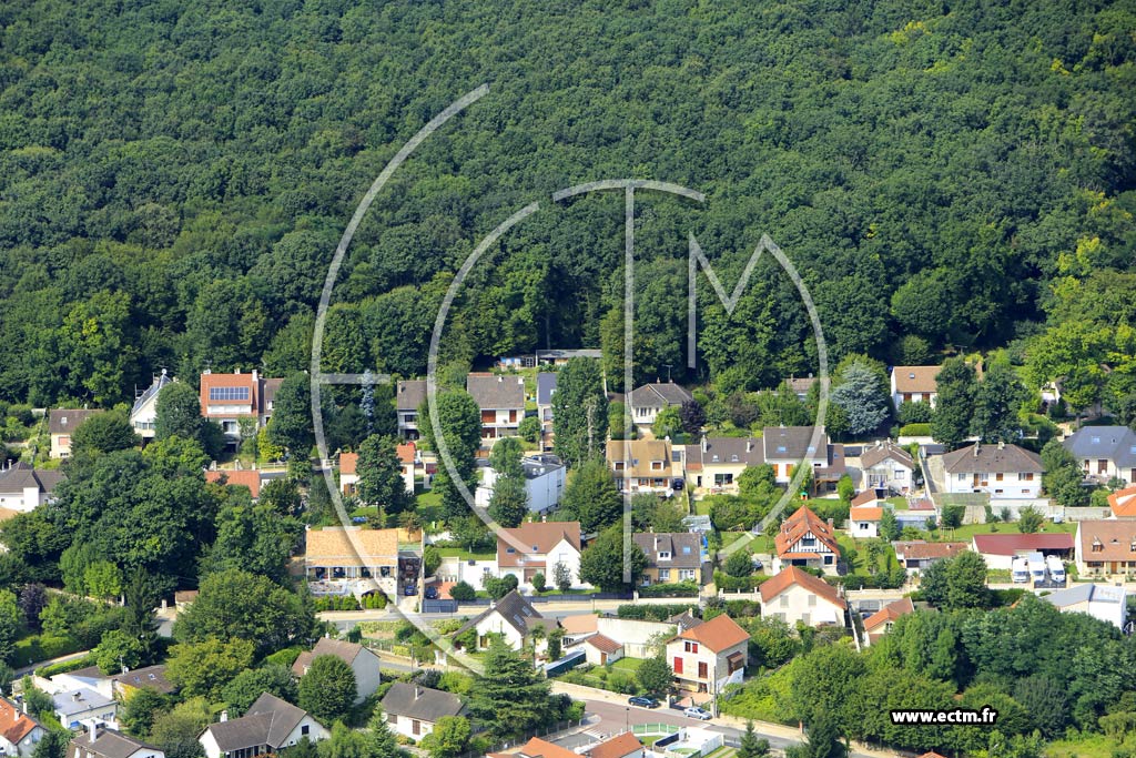 Photo arienne de Varennes-Jarcy (la Garenne)