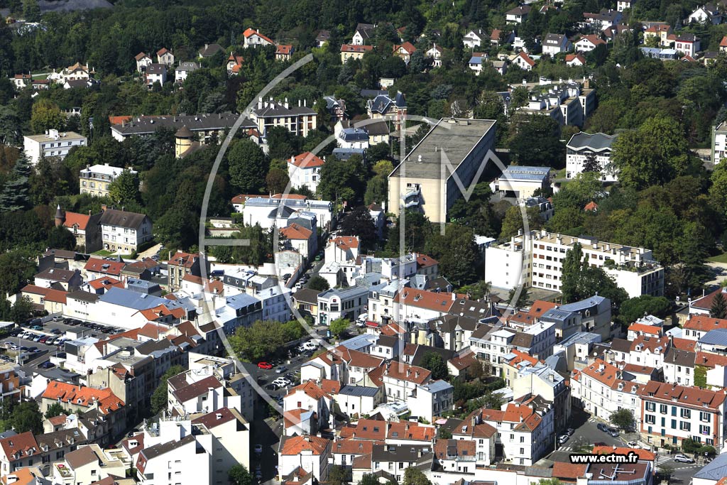 Photo arienne de Montmorency (Centre)