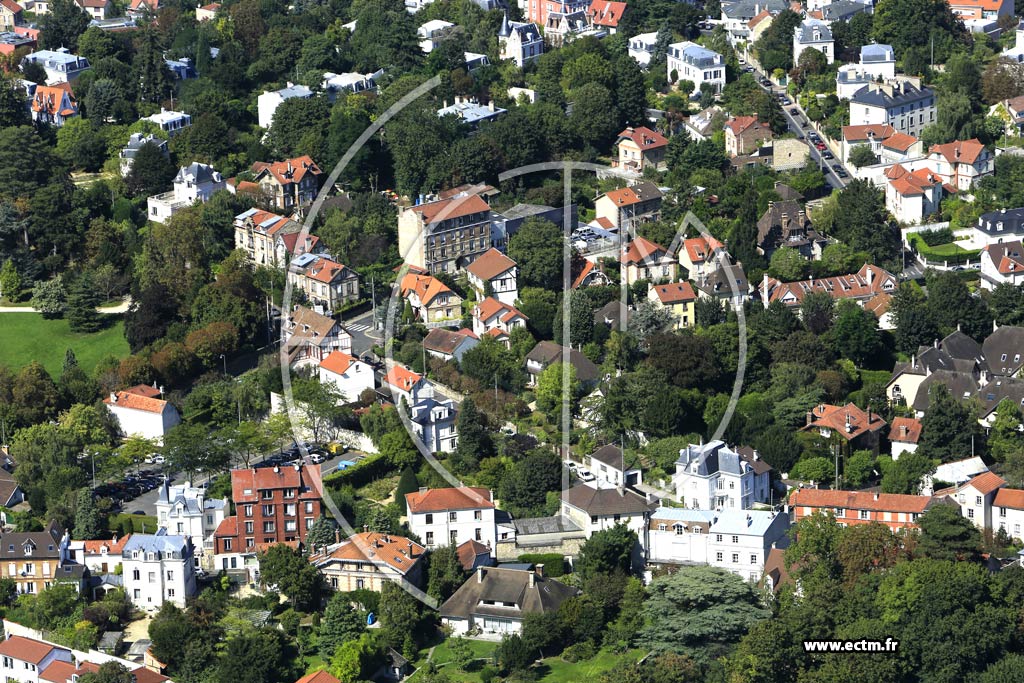 Photo arienne de Montmorency (Centre)