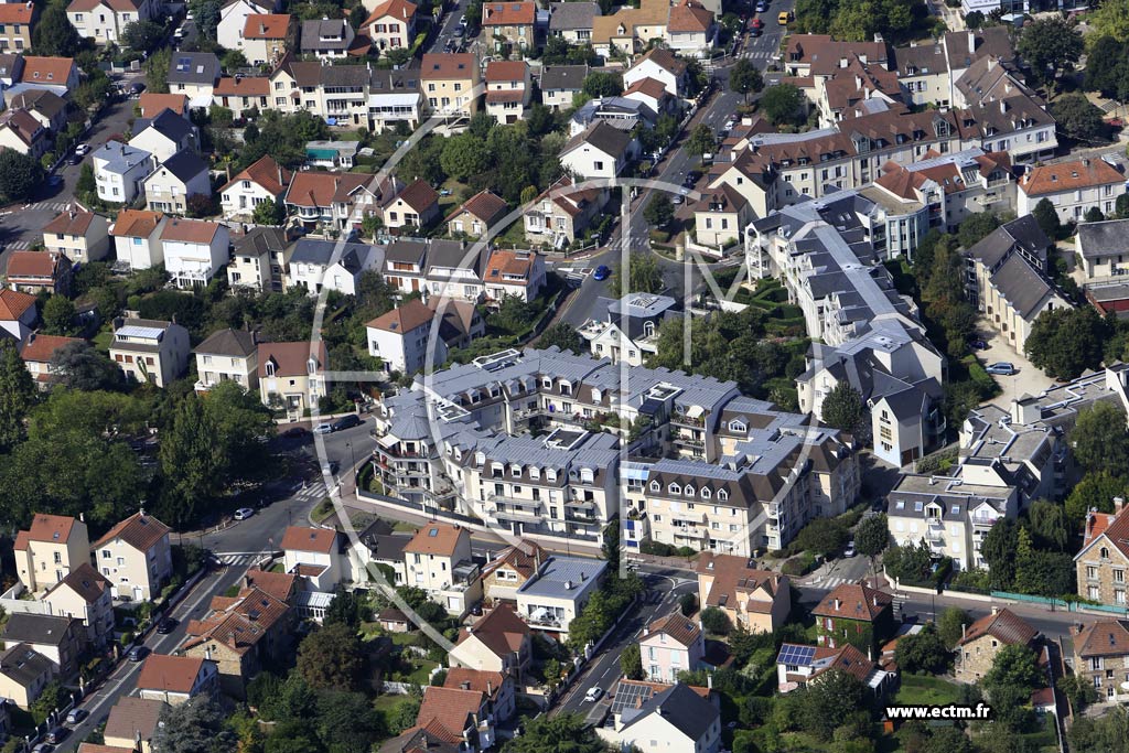 Photo arienne de Antony (le Vert Buisson)