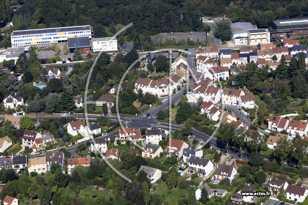 Photo arienne de Igny (le Versoir)