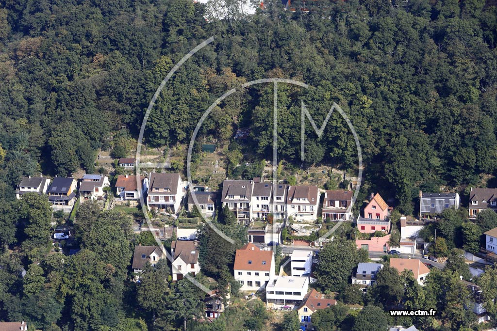 Photo arienne de Palaiseau (la Butte de Reims)