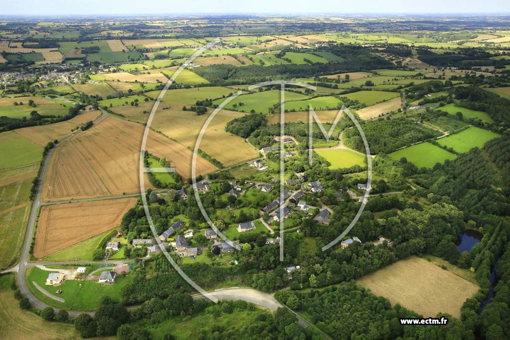 Photo arienne de La Bosse-de-Bretagne (Pouchard)