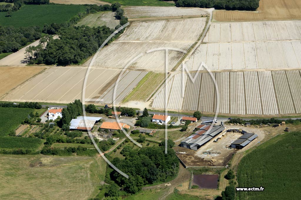 Photo arienne de Notre-Dame-de-Riez (le Bois Colleau)