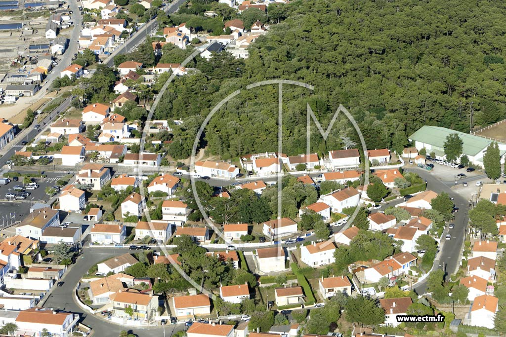 Photo arienne de La Barre-de-Monts (Fromentine)