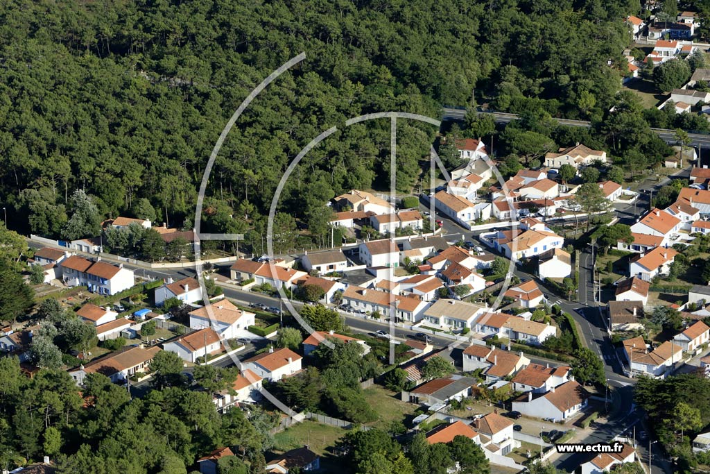 Photo arienne de La Barre-de-Monts (Fromentine)