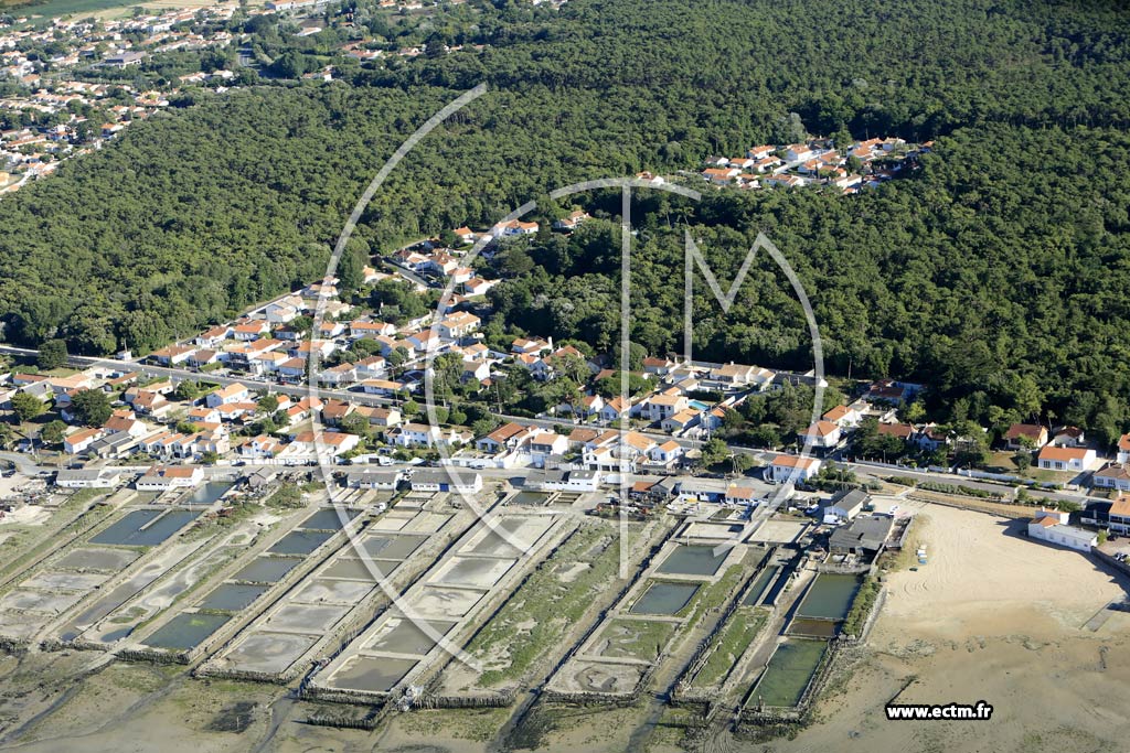 Photo arienne de La Barre-de-Monts (la Garenne)