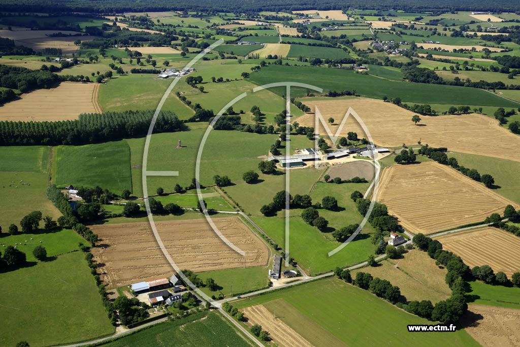 Photo arienne de Plac (les Barillais - le Pont Pillard - la Grande Aubinire)