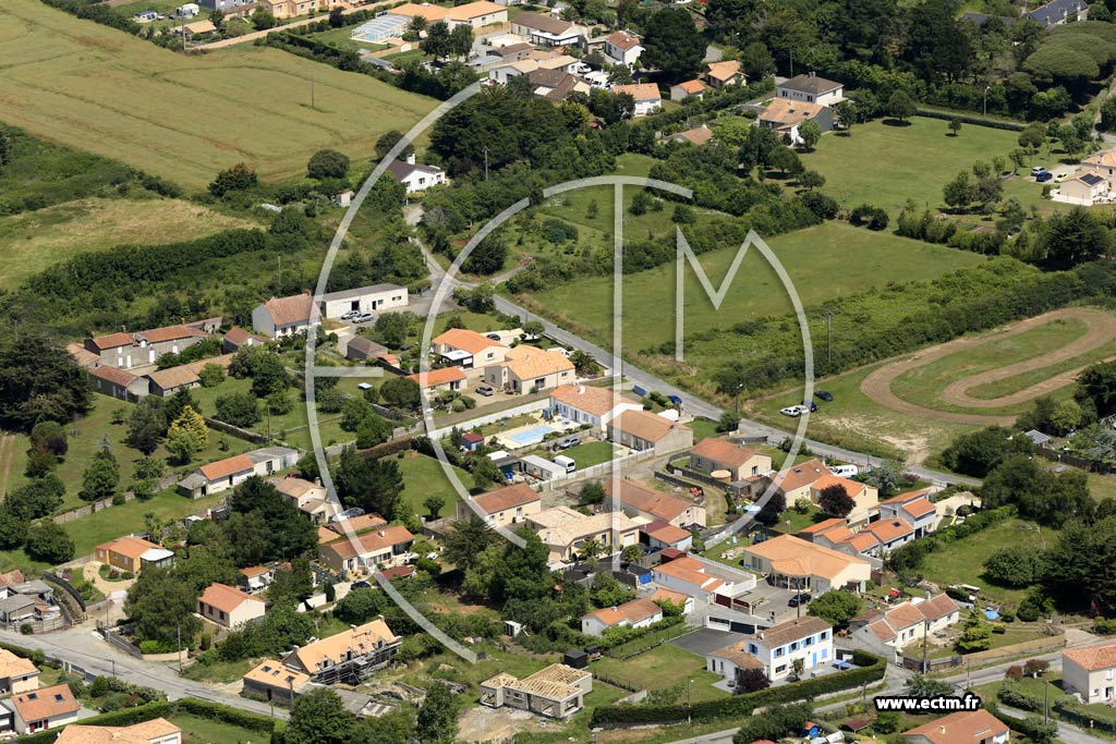 Photo arienne de La Plaine-sur-Mer (la Masure)