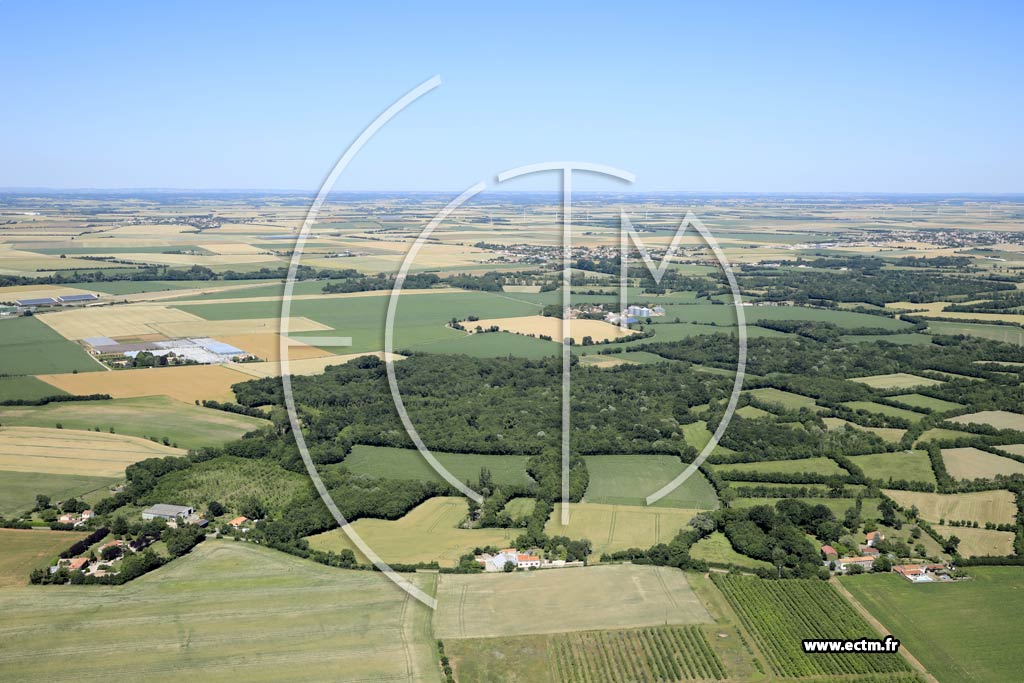 Photo arienne de Sainte-Gemme-la-Plaine (la Levraudire - la Grande Chauveterie - la Petite Chauveterie)