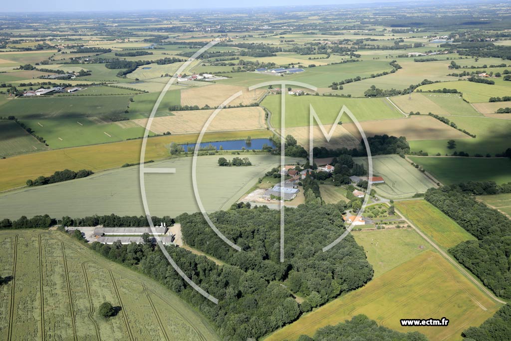 Photo arienne de Saint-Denis-la-Chevasse (la Bgaudire)