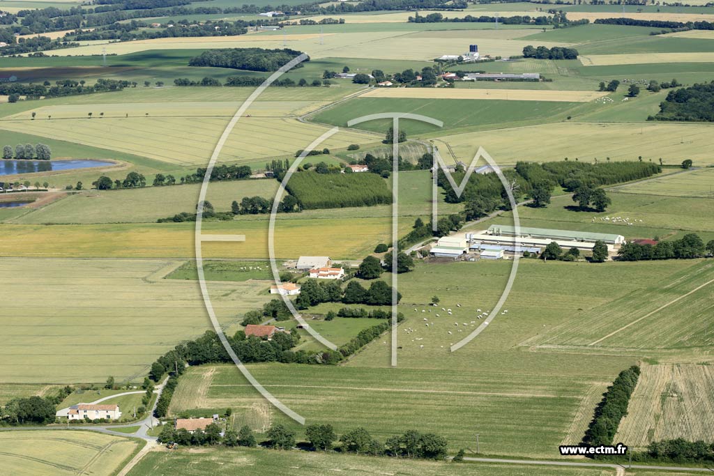 Photo arienne de Saint-Denis-la-Chevasse (la Croix Rouge - la Rrandire - la Motterie)