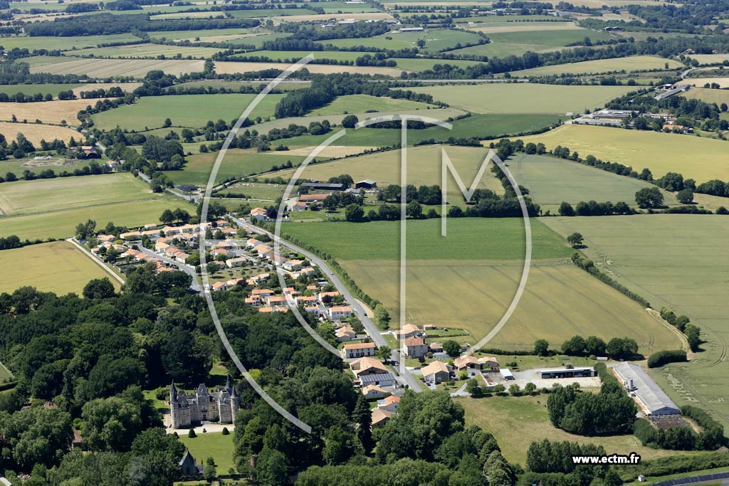 Photo arienne de Mesnard-la-Barotire (le Grand Logis)