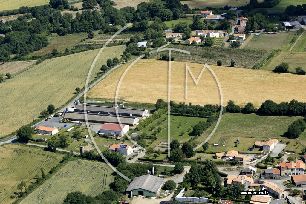 Photo arienne de Saint-Mars-la-Rorthe (la Renaudire)