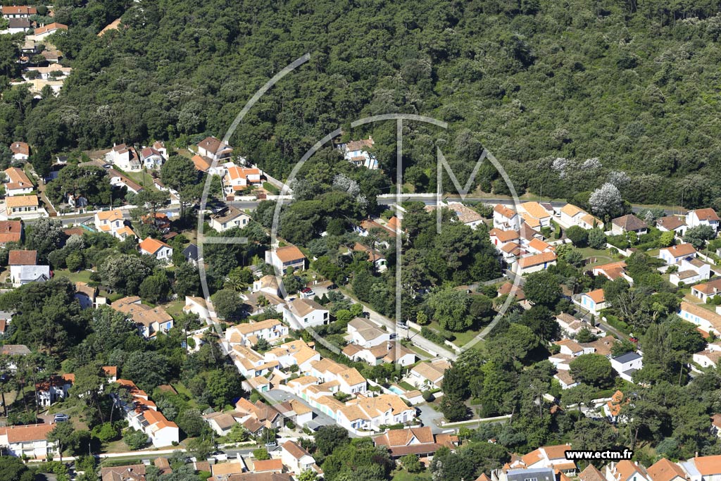 Photo arienne de Saint-Trojan-les-Bains (La Plage)