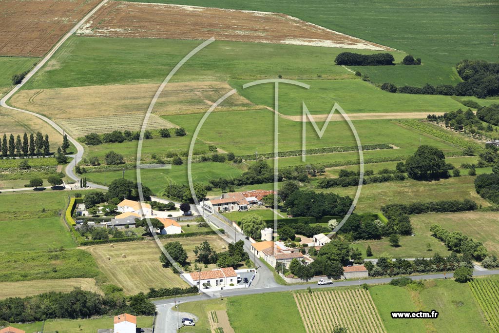 Photo arienne de Le Gu-de-Velluire (Les Moulins de la Caillres)