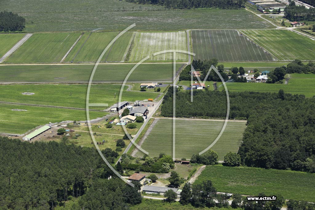 Photo arienne de Saint-Jean-de-Marsacq (la Lande)